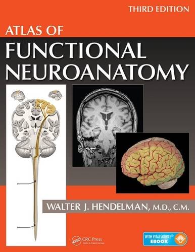 snell neuroanatomy free pdf